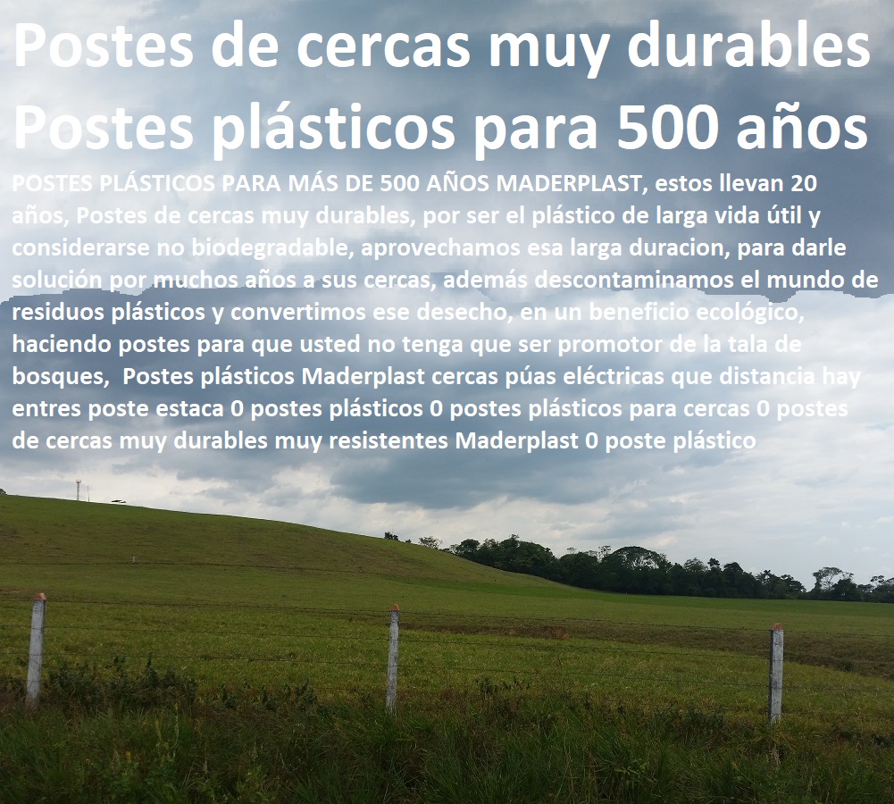 Postes plásticos Maderplast cercas púas eléctricas que distancia hay entres poste estaca 0 postes plásticos 0 postes plásticos para cercas 0 postes de cercas muy durables muy resistentes Maderplast 0 poste plástico Postes plásticos Maderplast cercas púas eléctricas que distancia hay entres poste estaca 0 postes plásticos 0 postes plásticos para cercas 0 postes de cercas muy durables muy resistentes Maderplast 0 poste plástico Postes plásticos Maderplast cercas púas eléctricas que distancia hay entres poste estaca 0 postes plásticos 0 postes plásticos para cercas 0 postes de cercas muy durables muy resistentes Maderplast 0 poste plástico
